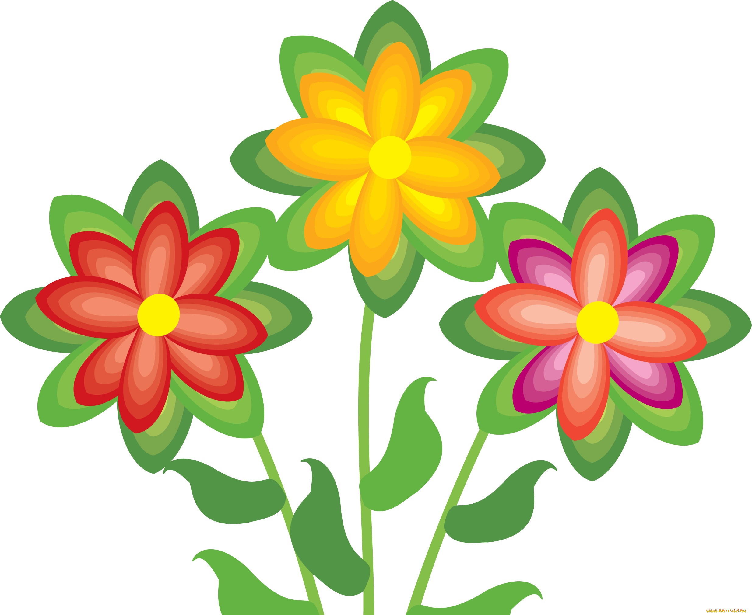  ,  , flowers, , , 